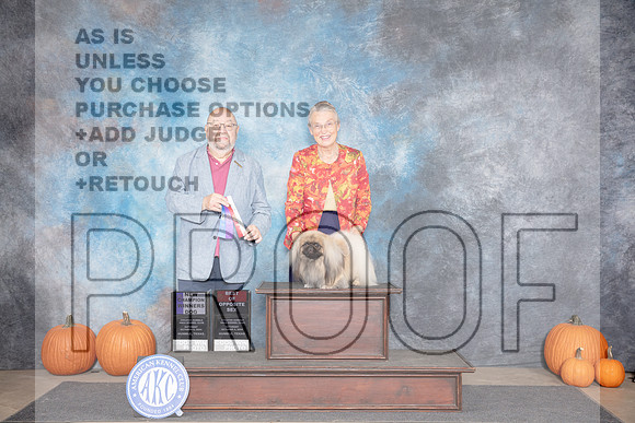Pekingese #5 Sat WD NCH Judge Raymond Filburn__JP_8503e_Humble2024-HR3