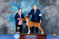 Boxer #5 WED BOB Judge Cathy De La Garza