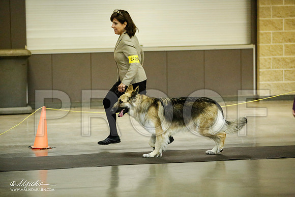 _JJ_7020-BeltonJan2015IABCA-HR3