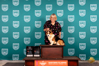 Pembroke Welsh Corgi #202 Sat TD note
