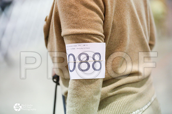 CCL_9357-MsqtApr14-HR3