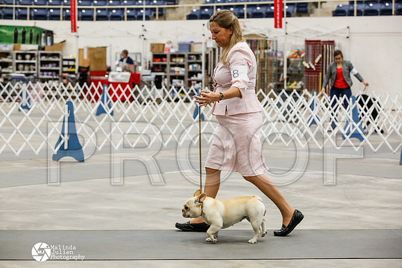 _HR_1275-AblnMay2014-web