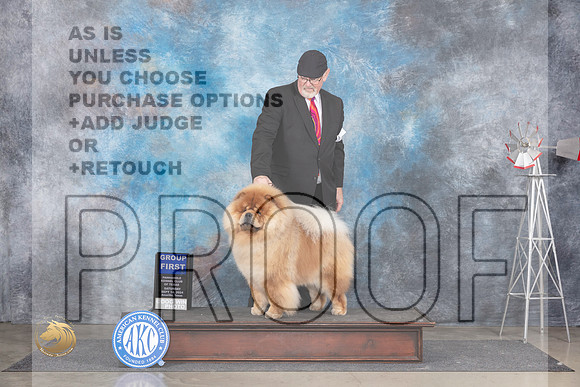 Chow #5 Sat G1 Judge Pat Trotter__JP_5946_Amarillo_2024_HR3