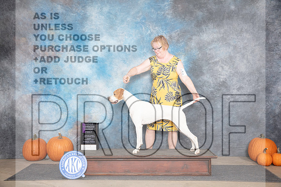 Pointer #6 OHG1 Judge Hal Biermann__JP_9513_Humble_2024_HR3