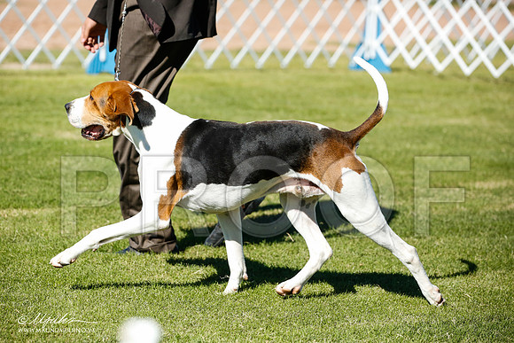 _JN_5936-AlamogordoOct2014-HR3