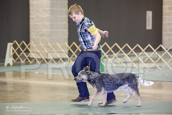_JN_2283-BeltonJan2015-HR3