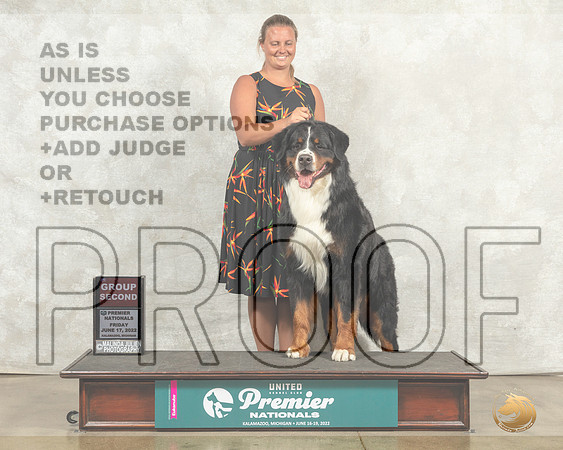 Bernese Mountain Dog #890 Fri G2 Judge Sandra Kowalski__MJ_7993_Premier_2022_HR3