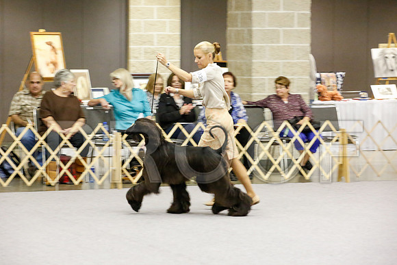 _JJ_8938-AfgBeltonOct2014-HR3
