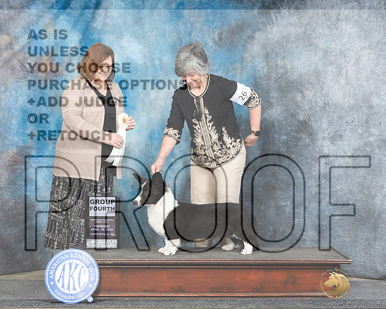 Cardigan Welsh Corgi #26 Thur G4 Judge Elizabeth Muthard r2-_JP_4663e_Fayetteville2024-HR3