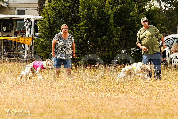 _MJ_5116-AfgBeltonOct2014-HR3