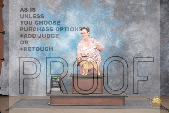 French Bulldog #451 Sat BOB G3 Judge Matthew Proctor__JP_2750_LongviewTX_2024_HR3
