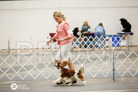 _RH_3854-AblnMay2014-web