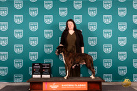 Boxer #111 FRi G2GCH Judge Larry Hansen