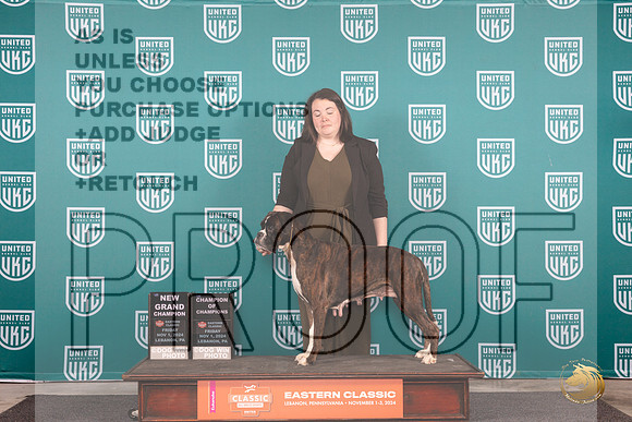Boxer #111 FRi G2GCH Judge Larry Hansen__JP_1813_UKCEastern_2024_HR3