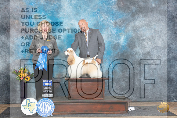Cocker Spaniel Parti #5 Sunn G1 Judge Vicki Abbott__JP_0050_Abilene_2024_HR3