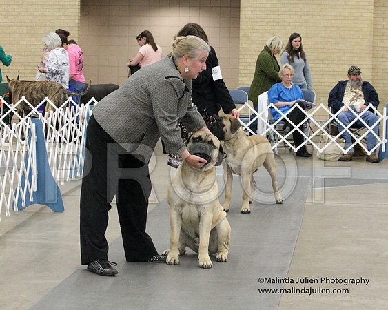 6-9PupSweeps-8457