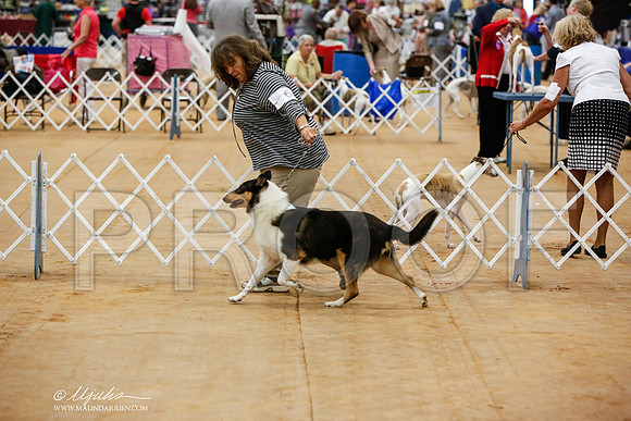 _JN_2914-TxArJun2014-HR3