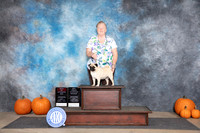 Pug #12 Sun BOS NGCH Judge Tim Catterson