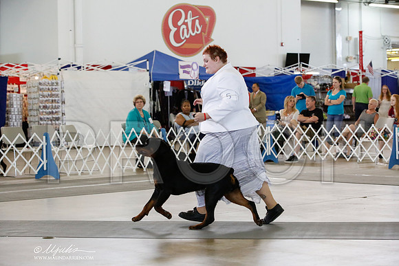 _HR_3956-DallasJul2014-HR3