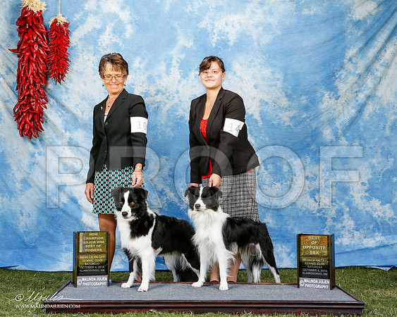 _ST_2862-2-AlamogordoOct2014-HR3