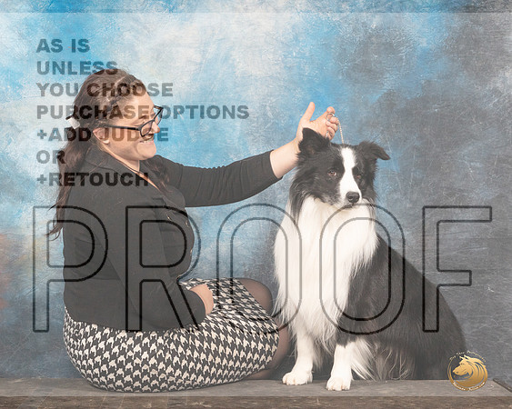 Border Collie #11 Thurs Jodie KeenerMMJ_2752_Mdlnd2022_HR3