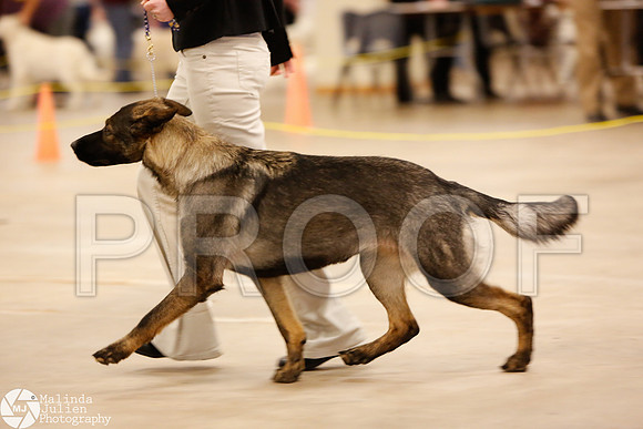 GSD-9800-Waco14-HR