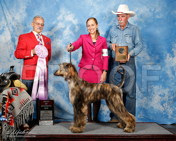 _ST_4495-2-AfgBeltonOct2014-HR3
