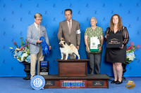 Pug #5 SUN G1 Judge Douglas Johnson