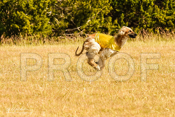 _MJ_4353-AfgBeltonOct2014-HR3
