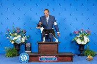 Basenji #15 THUR WD BOS Judge Debbie Freeman