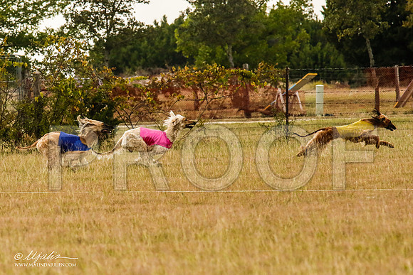 _MJ_5834-AfgBeltonOct2014-HR3