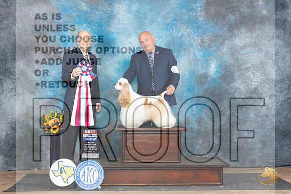 Cocker Spaniel #5 Sat BIS Judge Larry Abbott__JP_0106_Abilene_2024_HR3