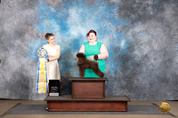 Poodle Miniature MC Fri Best in Match Judge Chandly Maynard and Sami Hirko