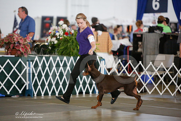 _JJ_8235-DallasJul2014-HR3