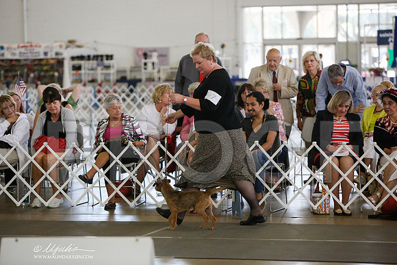 _JJ_2242-DallasJul2014-HR3