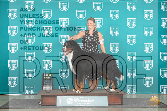 Bernnese Mountain Dog #1173 Fri G3 Judge Deb Allen__JP_1743_Premier_2024_HR3