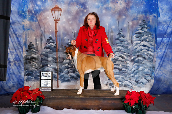 boxer-6390-MrshlDec13-HR
