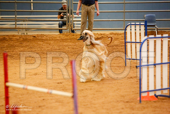 _JJ_5858-AfgBeltonOct2014-HR3