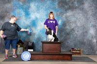 English Cocker Spaniel Sat Aglity NT Judge Kathy Mosely