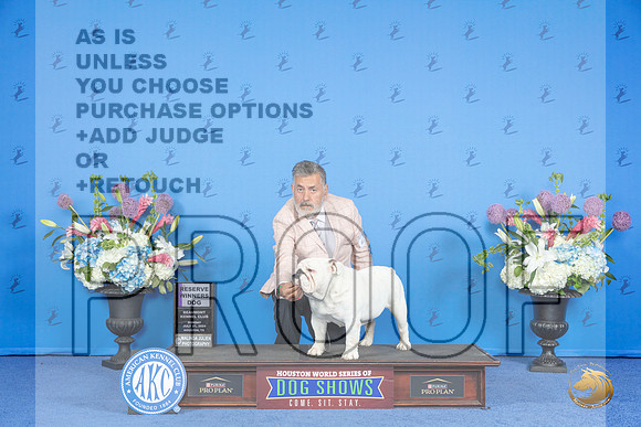 Bulldog #17 SUN RWD Judge Douglas Johnson__JP_0013_Houston_2024_HR3
