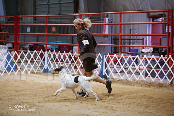 CollieS-3831-GRJan14-HR