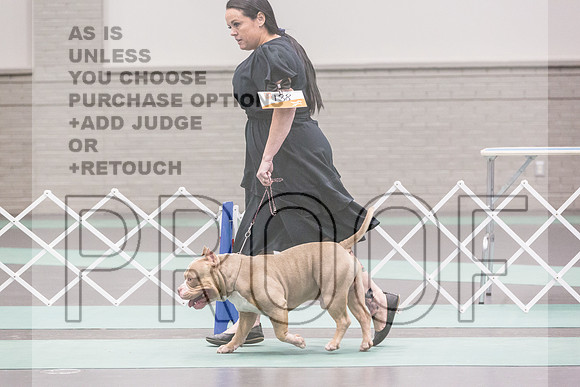 Bully Rings Fri Ring 1_JJL_6870_UKCLNGVIEWOCT2024_2024_HR3