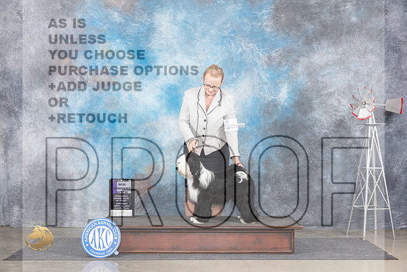 Tibetan Terrier #14 Sat WBM Judge Jon Cole__JP_5755_Amarillo_2024_HR3