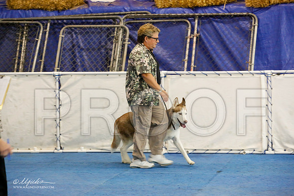 _M3_7469-AddisonHuskyMar2015-HR3