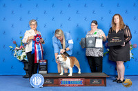Bulldog #19 SUN BIS Judge Sandra Lex