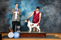 Brittany #5 Sat G4 Judge Jim Fehring