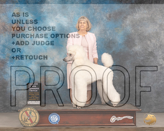 Poodle Std #8 Fri WB Judge Brad JenkinsMMJ_3461_Mdlnd2022_HR3