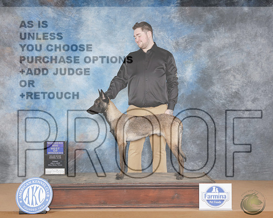 Belgian Malinois #5 Fri WD Judge Joan Liebes r_WP_9905-NRKC2025-HR3