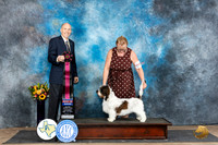 PBGV #6 Sat RBIS Judge Larry Abbott