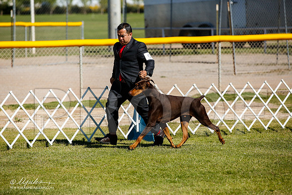 _JJ_9731-AlamogordoOct2014-HR3